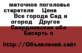 маточное поголовье старателя  › Цена ­ 3 700 - Все города Сад и огород » Другое   . Свердловская обл.,Бисерть п.